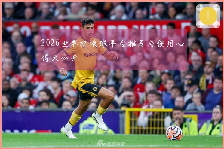 2026世界杯滚球平台推荐与使用心得大公开