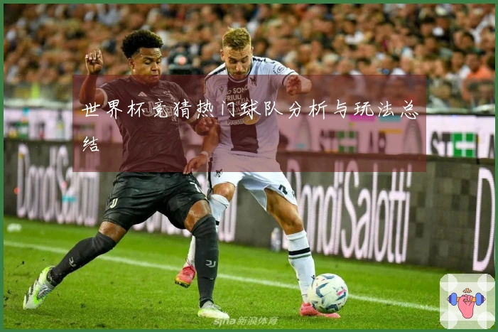 世界杯竞猜热门球队分析与玩法总结