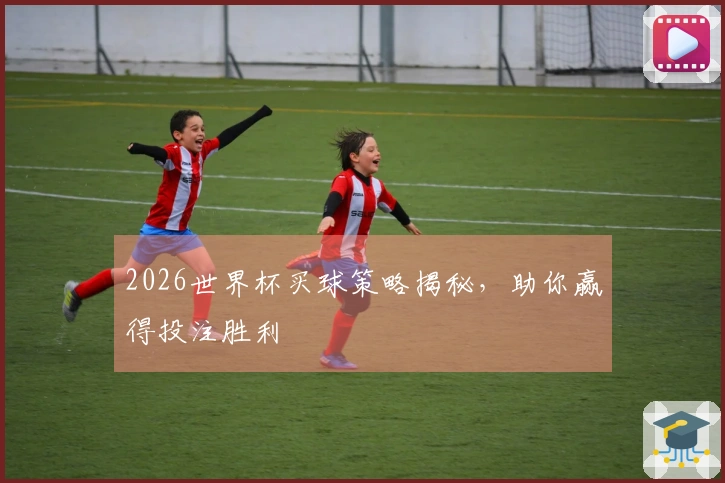 2026世界杯买球策略揭秘，助你赢得投注胜利
