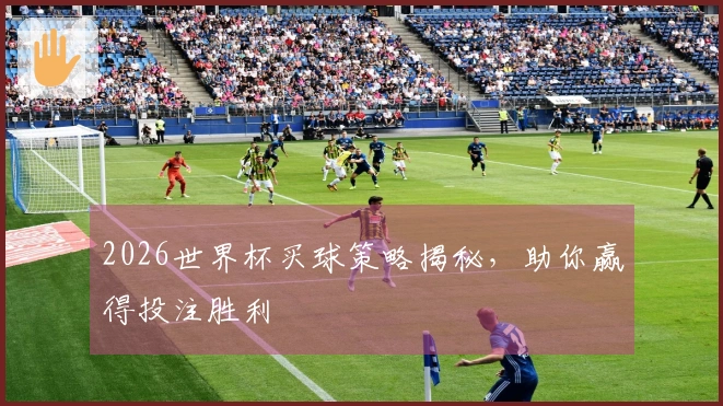 2026世界杯买球策略揭秘，助你赢得投注胜利