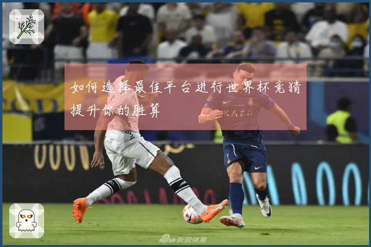 如何选择最佳平台进行世界杯竞猜提升你的胜算