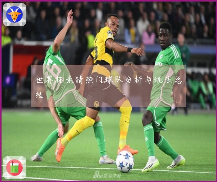 世界杯竞猜热门球队分析与玩法总结