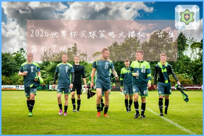 2026世界杯买球策略大揭秘，你准备好了吗？
