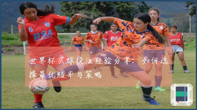 世界杯买球投注经验分享：如何选择最优赔率与策略