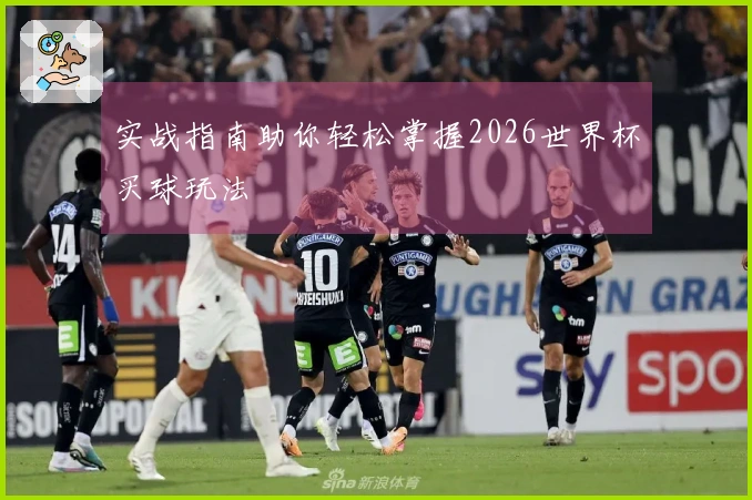 实战指南助你轻松掌握2026世界杯买球玩法