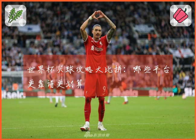 世界杯买球攻略大比拼：哪些平台更靠谱更划算