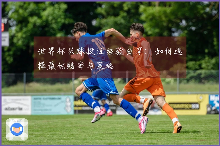 世界杯买球投注经验分享：如何选择最优赔率与策略