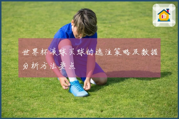 世界杯滚球买球的选注策略及数据分析方法要点